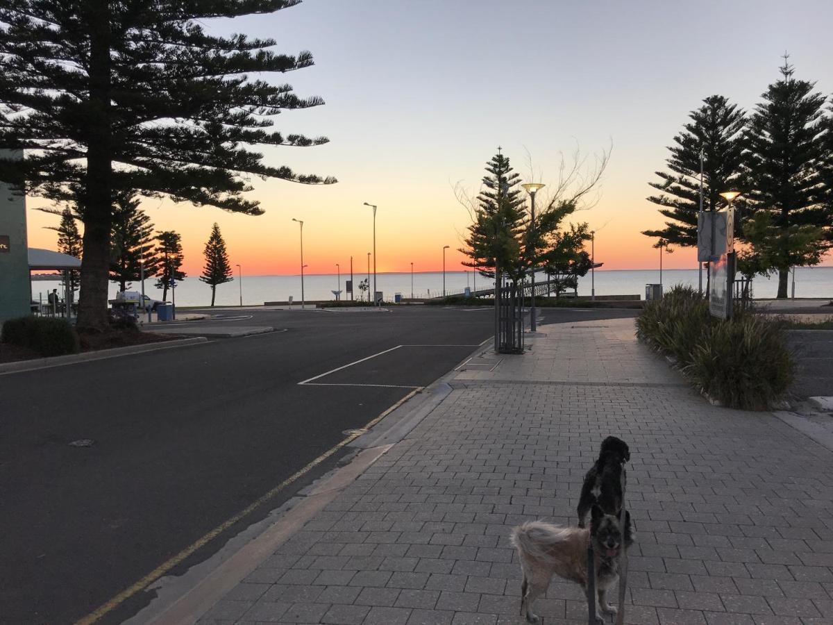 Big4 Ceduna Tourist Park ภายนอก รูปภาพ